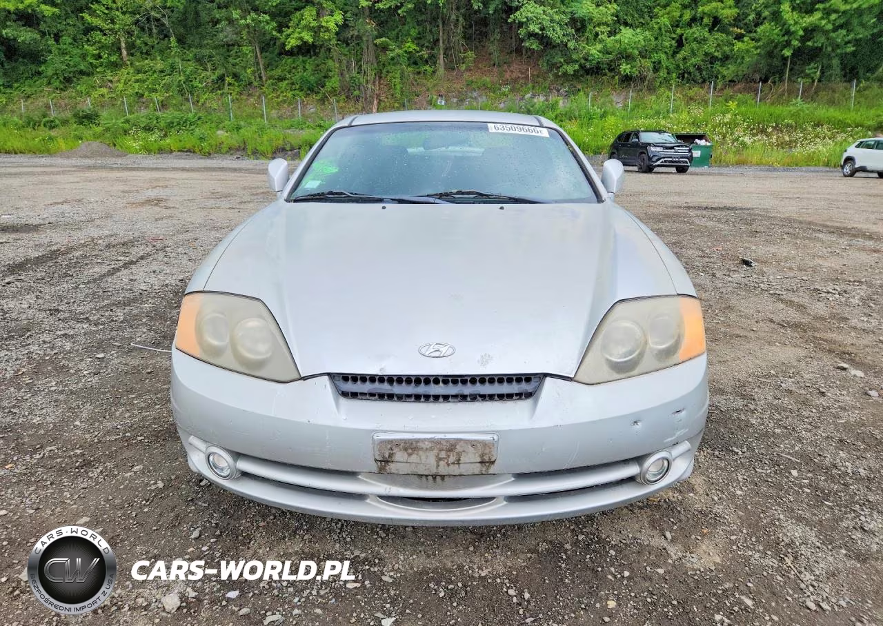 2004 Hyundai Tiburon Gt VIN:KMHHN65F94U133094 - 5