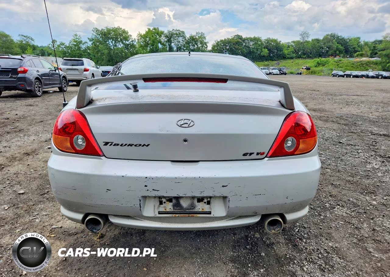 2004 Hyundai Tiburon Gt VIN:KMHHN65F94U133094 - 6