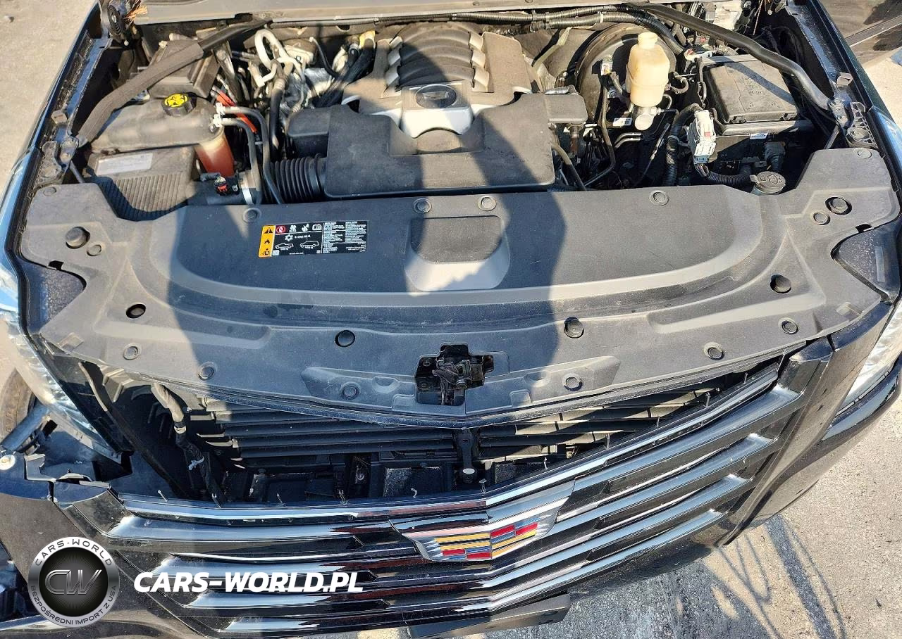 2020 Cadillac Escalade Esv Platinum VIN:1GYS4KKJ2LR112209 - 12