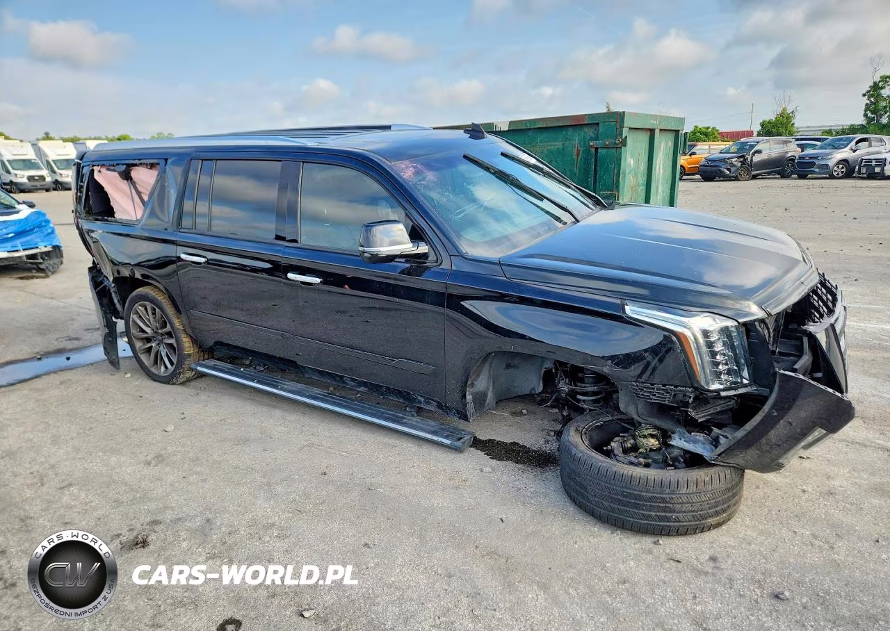 2020 Cadillac Escalade Esv Platinum VIN:1GYS4KKJ2LR112209 - 4