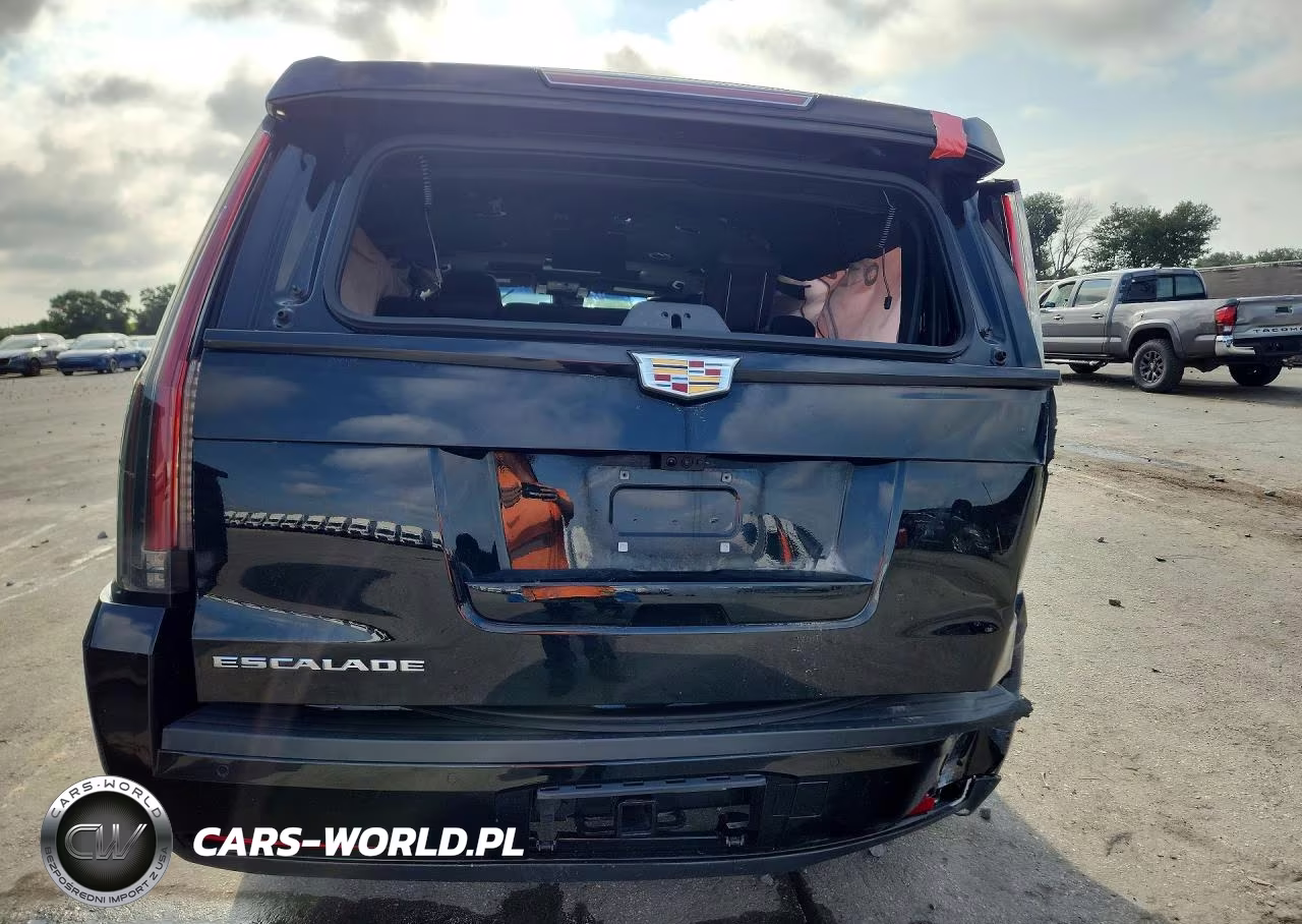 2020 Cadillac Escalade Esv Platinum VIN:1GYS4KKJ2LR112209 - 6