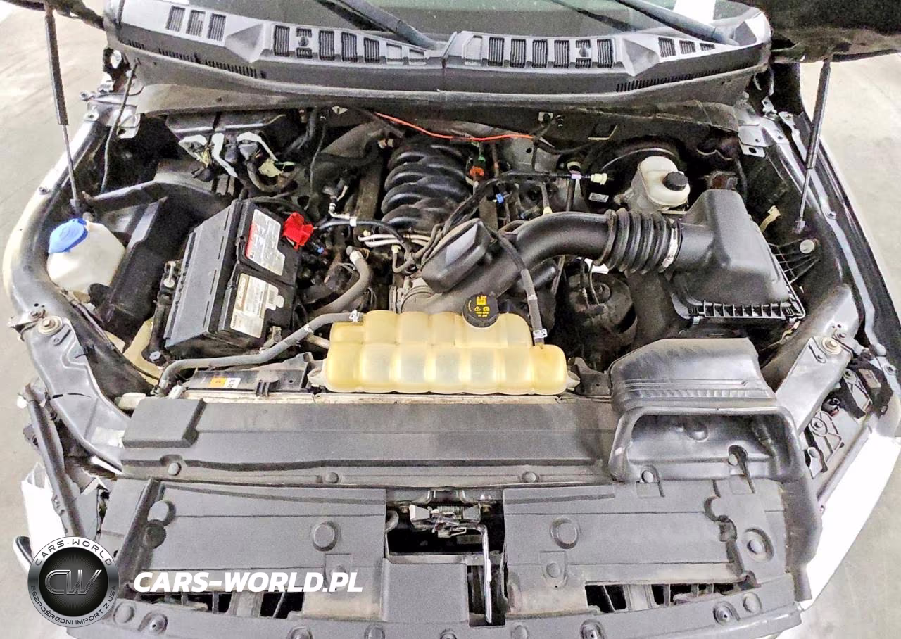 2020 Ford F150 Supercrew VIN:1FTEW1C51LKD28232 - 11