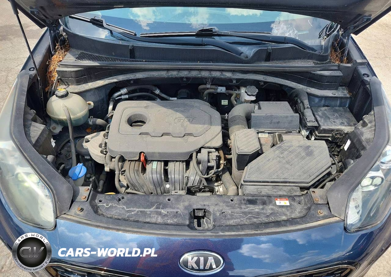 2020 Kia Sportage S VIN:KNDP63AC8L7634787 - 12