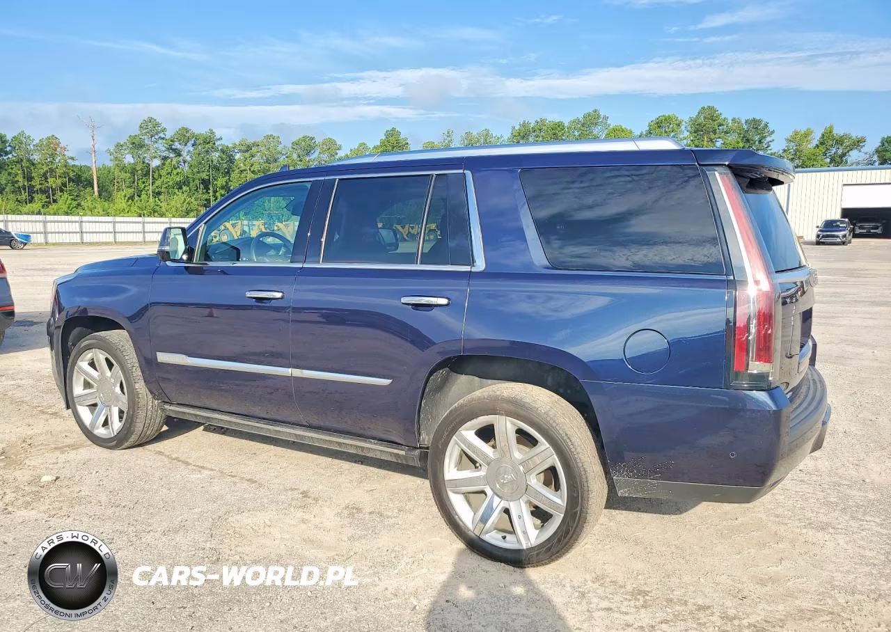 2019 Cadillac Escalade Premium Luxury VIN:1GYS3CKJXKR282647 - 2