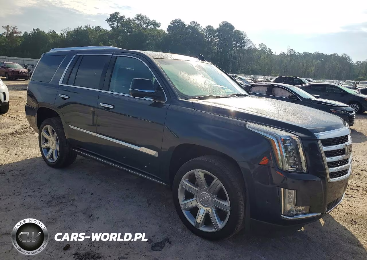 2019 Cadillac Escalade Premium Luxury VIN:1GYS3CKJXKR282647 - 4