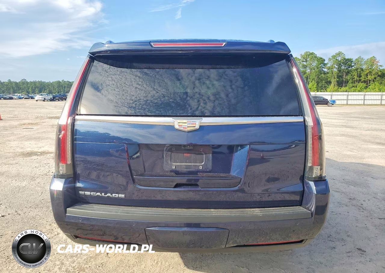 2019 Cadillac Escalade Premium Luxury VIN:1GYS3CKJXKR282647 - 6