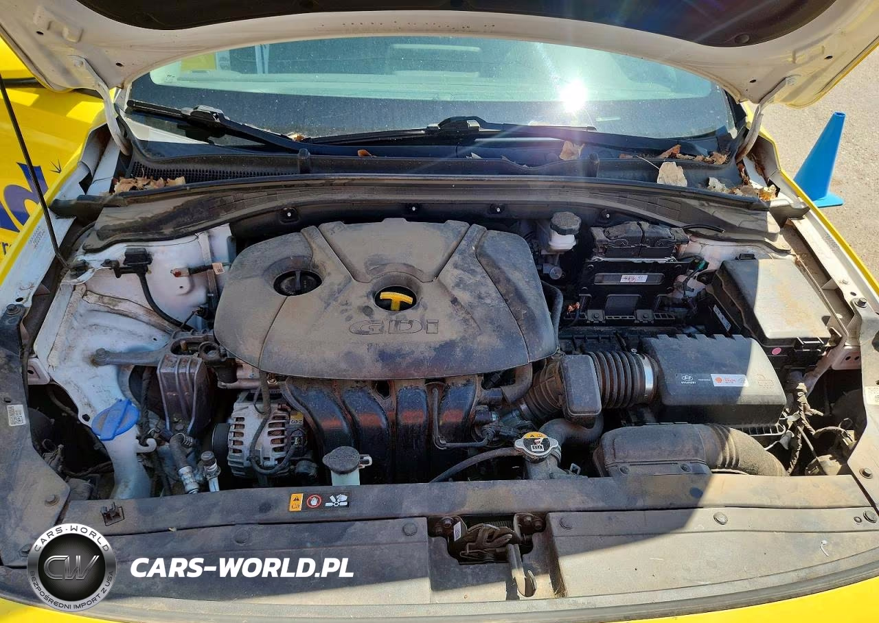 2019 Hyundai Elantra Gt Base VIN:KMHH35LE5KU103310 - 11