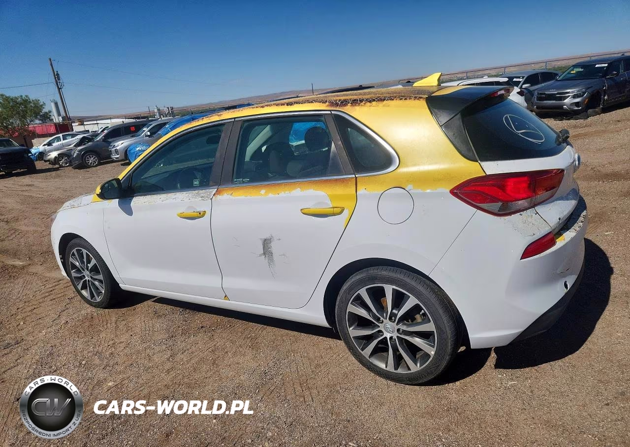 2019 Hyundai Elantra Gt Base VIN:KMHH35LE5KU103310 - 2