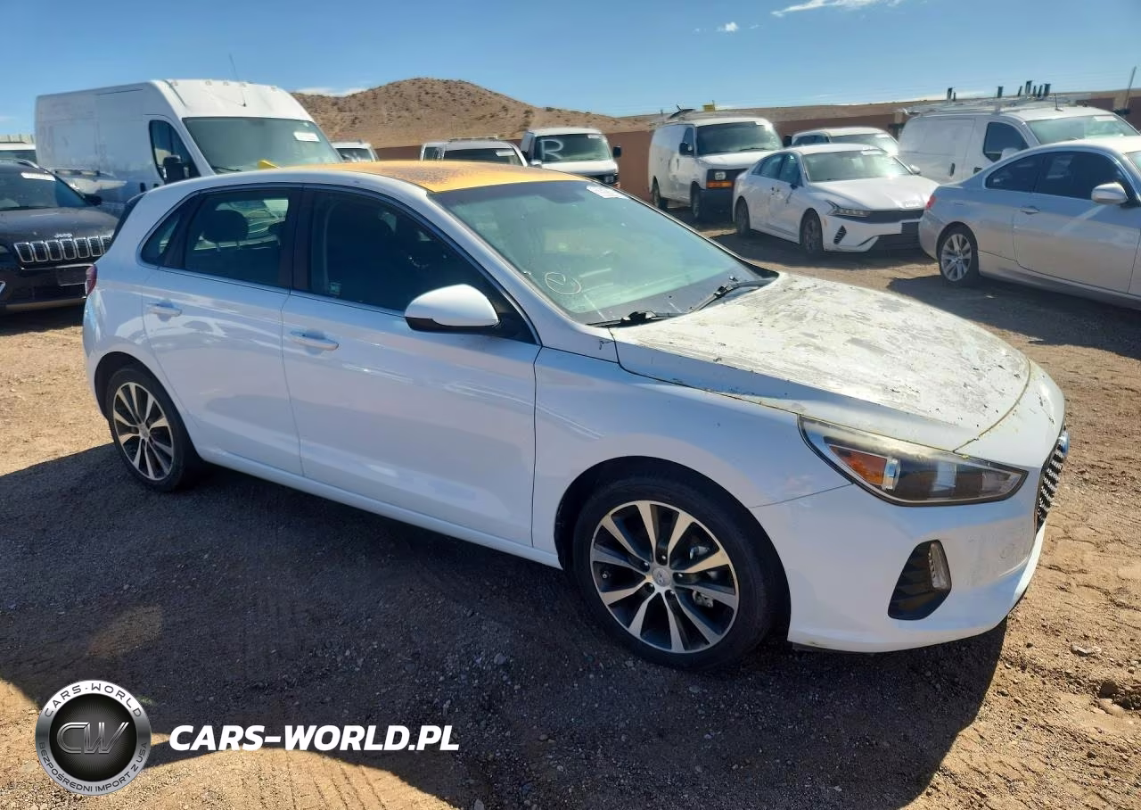 2019 Hyundai Elantra Gt Base VIN:KMHH35LE5KU103310 - 4