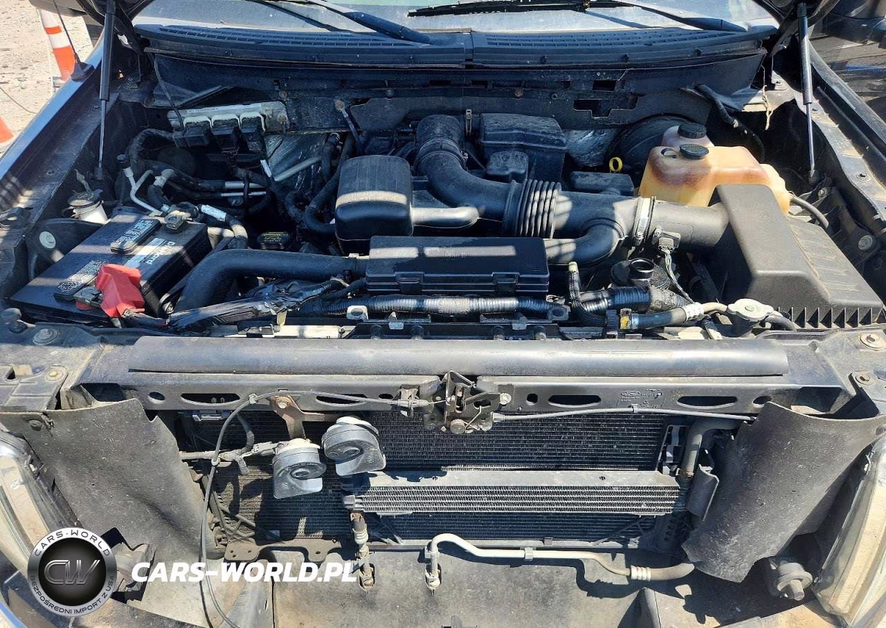 2009 Ford F150 Supercrew VIN:1FTPW14V29FB20627 - 11