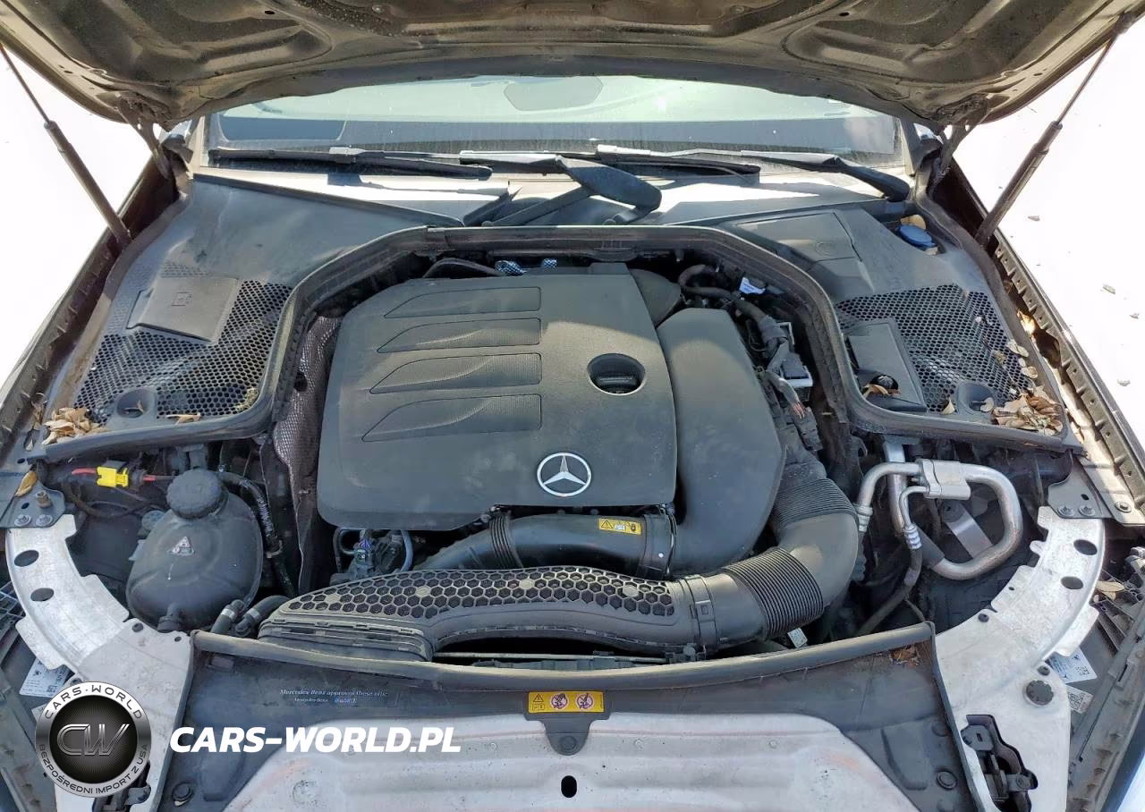 2019 Mercedes-Benz C 300 VIN:55SWF8DB3KU307149 - 11
