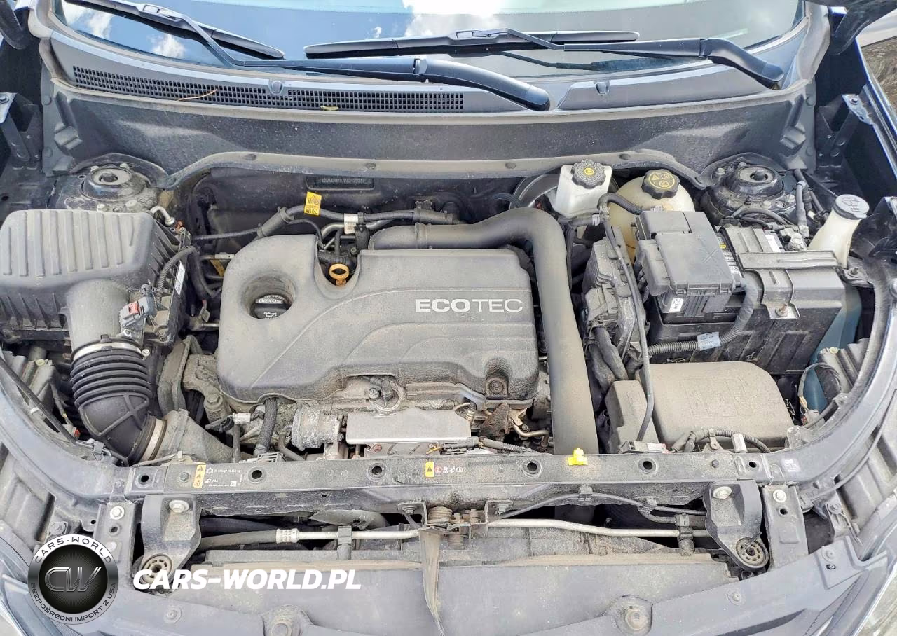 2019 Chevrolet Equinox Lt VIN:2GNAXUEV7K6242300 - 12