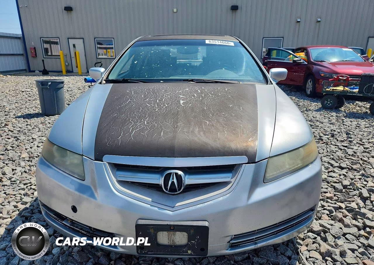2004 Acura Tl VIN:19UUA66204A055026 - 5