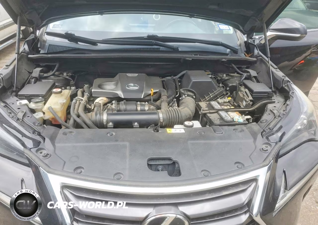 2017 Lexus Nx 200T Base VIN:JTJYARBZ6H2067425 - 12