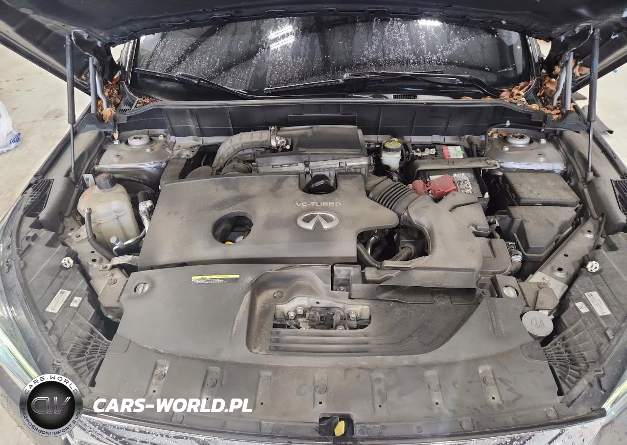 2020 Infiniti Qx50 Luxe VIN:3PCAJ5M13LF120947 - 12