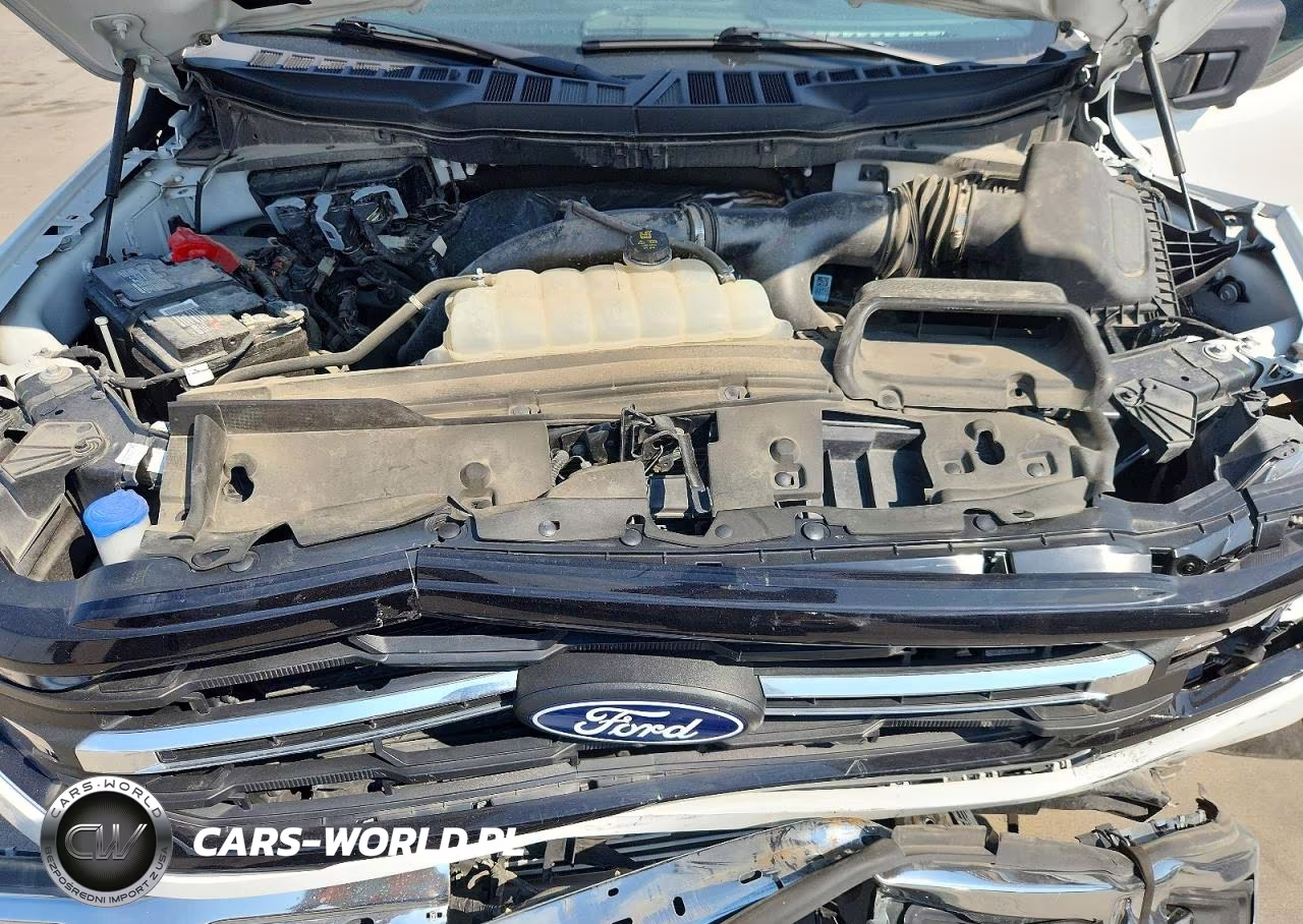 2024 Ford F150 Xlt VIN:1FTEW3LP1RKF16898 - 11