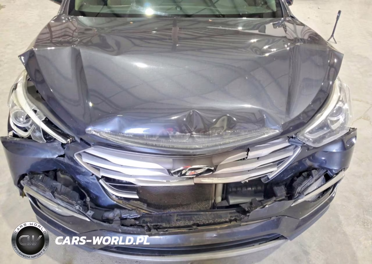 2017 Hyundai Santa Fe Sport 2.0T Ultimate VIN:5XYZWDLAXHG412241 - 12