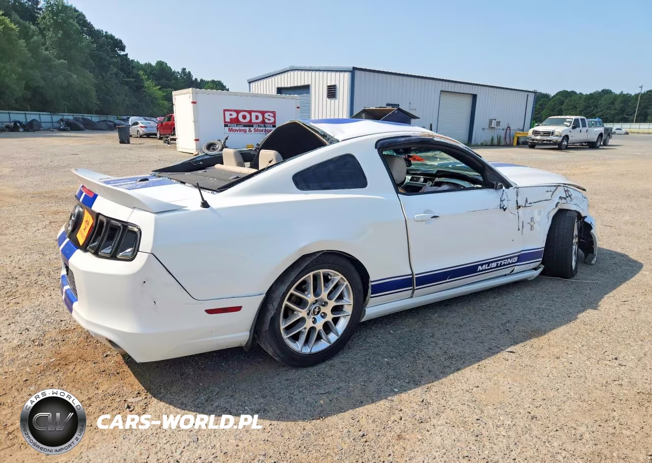 2014 Ford Mustang VIN:1ZVBP8AM6E5256073 - 3