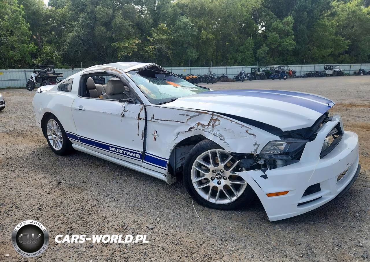 2014 Ford Mustang VIN:1ZVBP8AM6E5256073 - 4