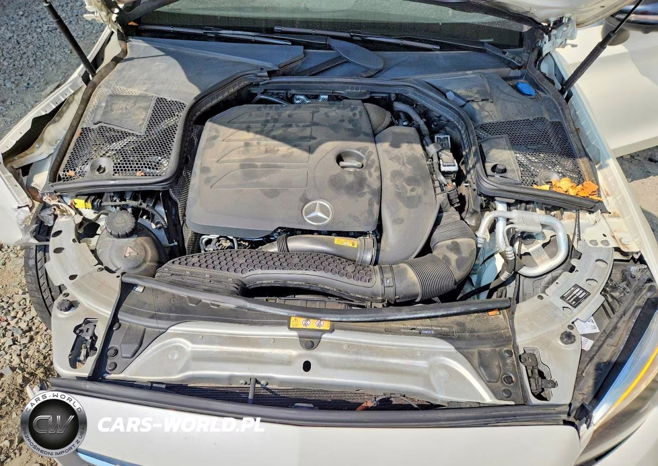 2019 Mercedes-Benz C 300 VIN:WDDWK8DB2KF807964 - 11