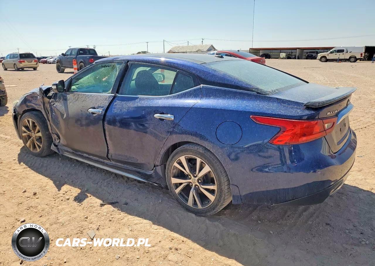 2016 Nissan Maxima Platinum VIN:1N4AA6AP6GC378743 - 2