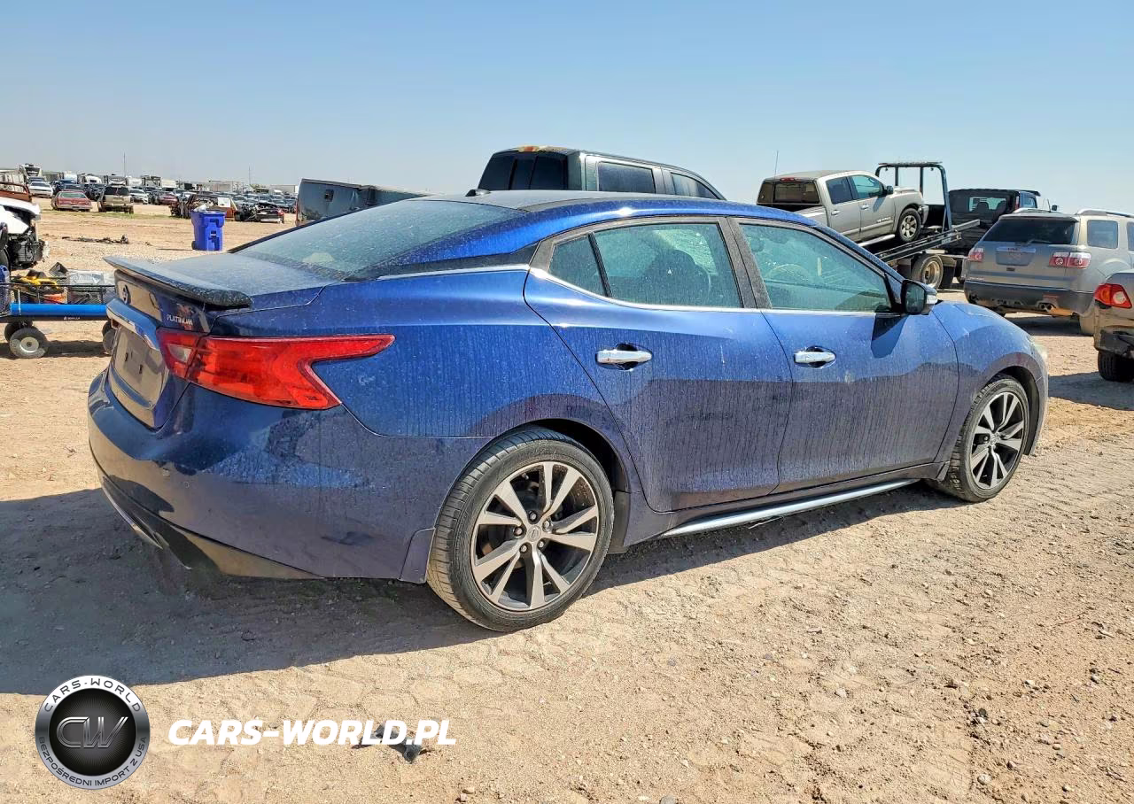 2016 Nissan Maxima Platinum VIN:1N4AA6AP6GC378743 - 3