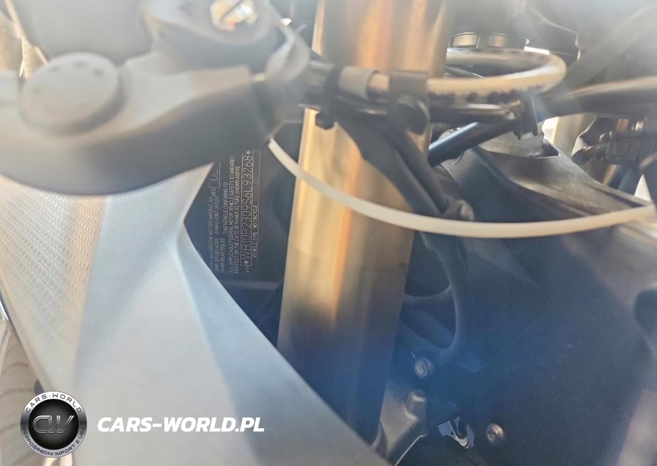 2025 BMW S 1000 Rr VIN:WB10P2309S6L93268 - 9