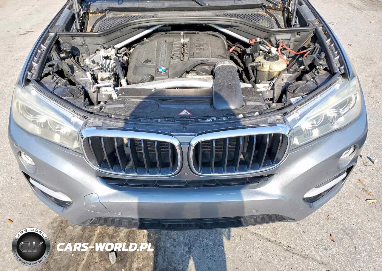 2016 BMW X6 Sdrive35I VIN:5UXKU0C52G0F92954 - 11