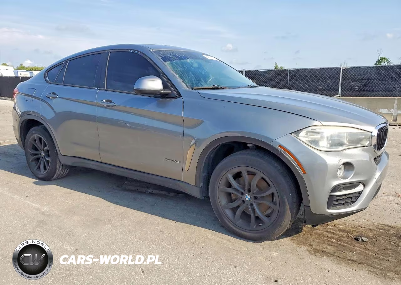 2016 BMW X6 Sdrive35I VIN:5UXKU0C52G0F92954 - 4
