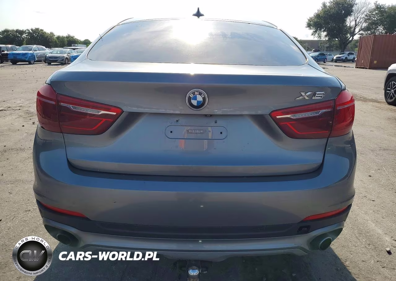 2016 BMW X6 Sdrive35I VIN:5UXKU0C52G0F92954 - 6