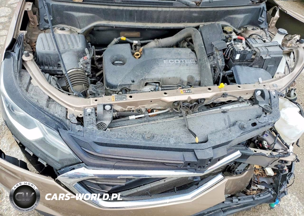 2019 Chevrolet Equinox Lt VIN:2GNAXKEV8K6230399 - 12