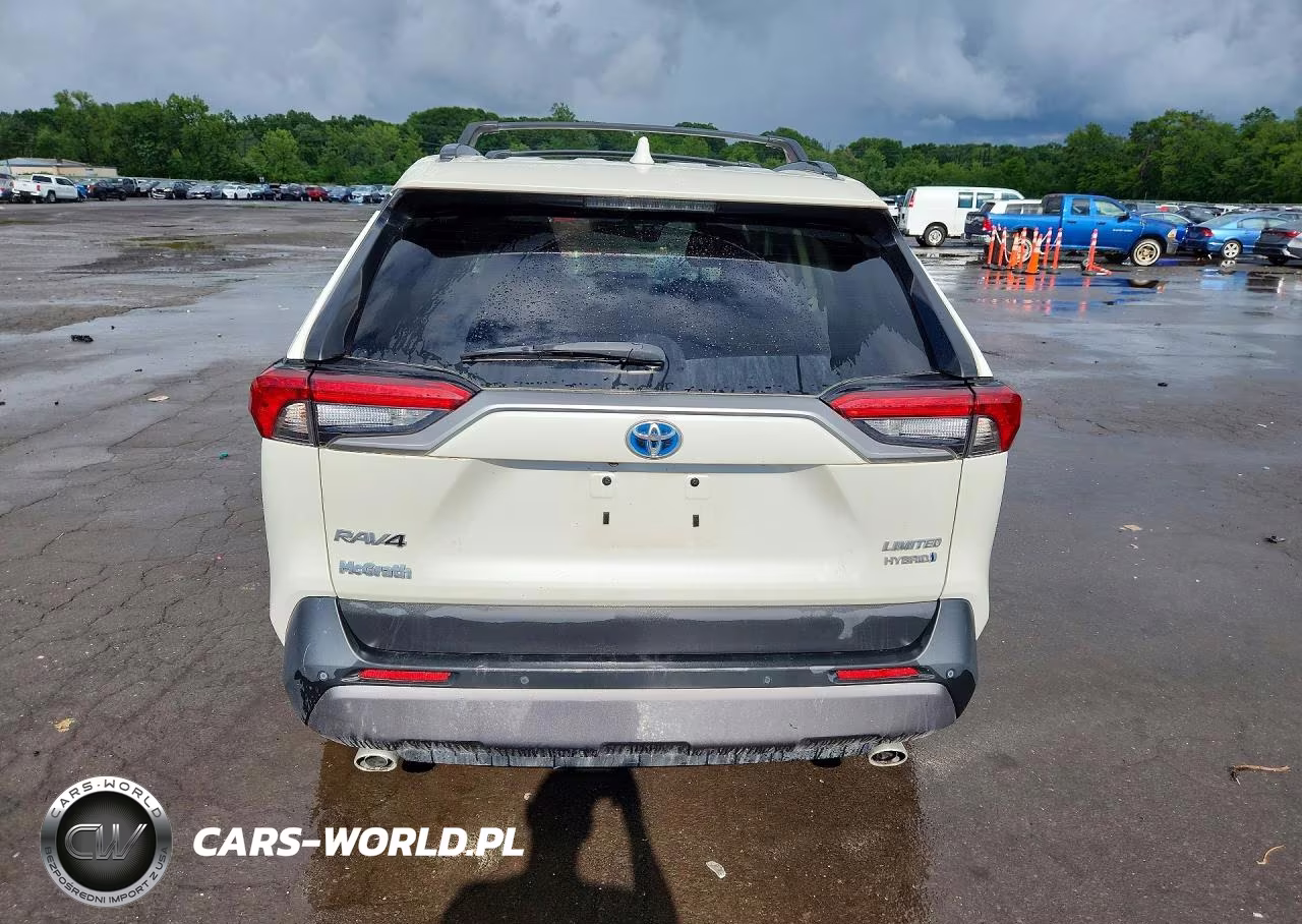 2020 Toyota Rav4 Limited VIN:2T3DWRFV8LW066335 - 6