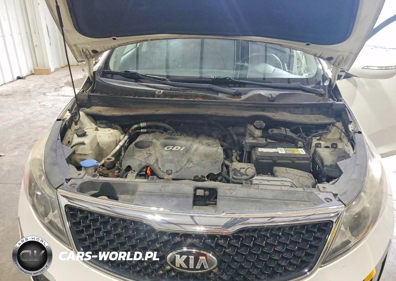 2014 Kia Sportage Ex VIN:KNDPCCAC1E7630060 - 12
