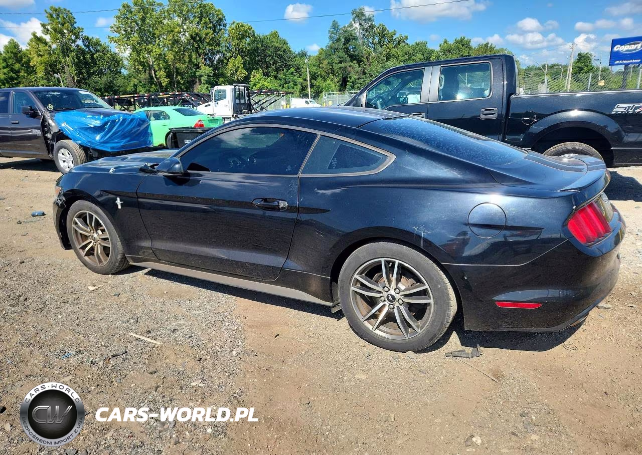 2017 Ford Mustang VIN:1FA6P8TH5H5305794 - 2