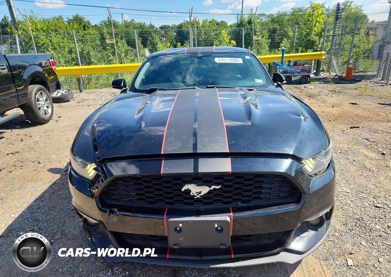 2017 Ford Mustang VIN:1FA6P8TH5H5305794 - 5