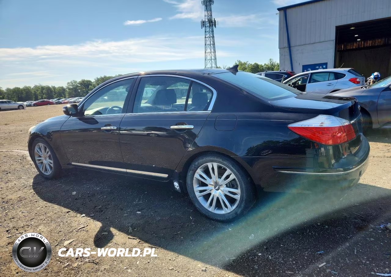 2009 Hyundai Genesis 4.6L VIN:KMHGC46F99U068176 - 2