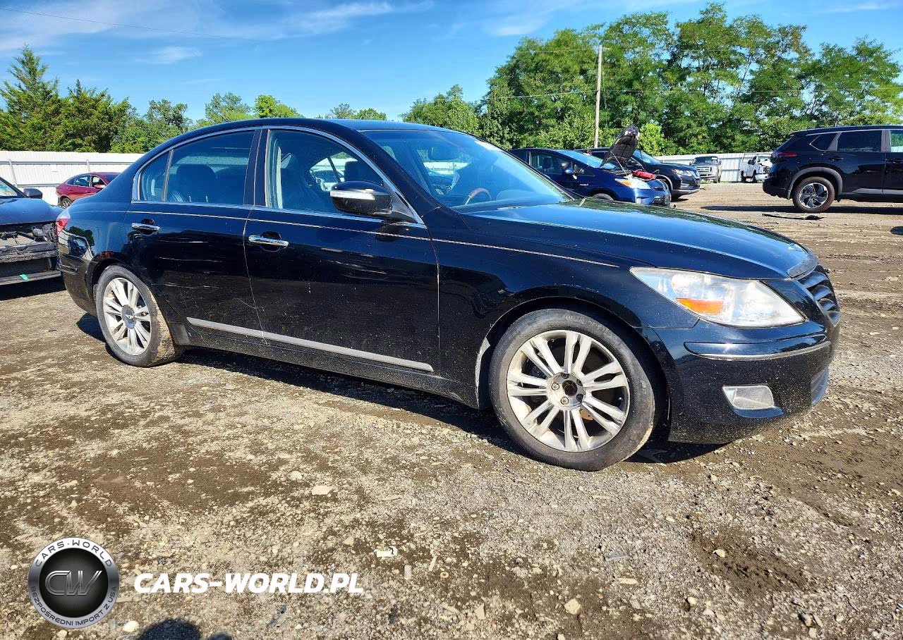 2009 Hyundai Genesis 4.6L VIN:KMHGC46F99U068176 - 4