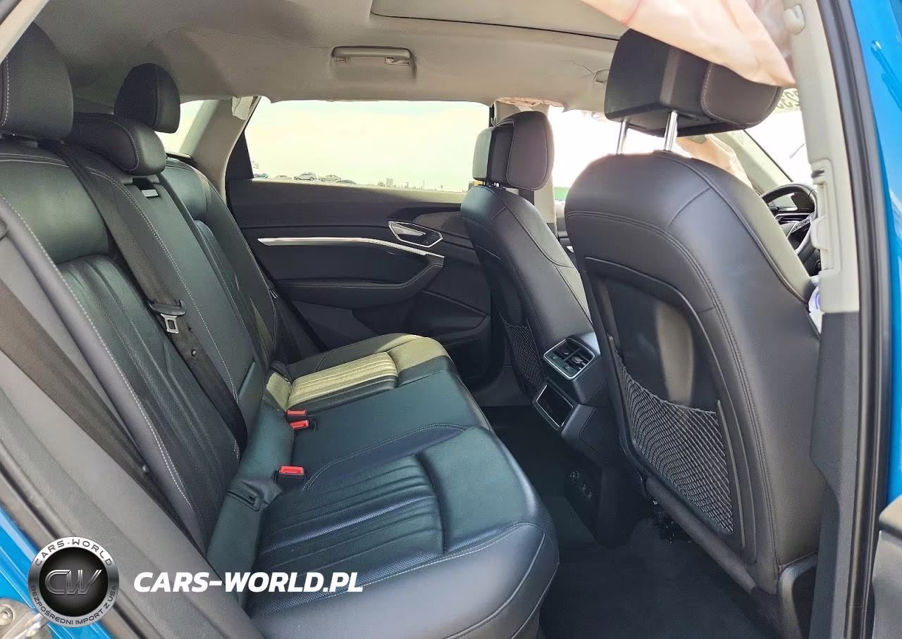 2019 Audi E-Tron Prestige VIN:WA1LAAGE0KB002883 - 10