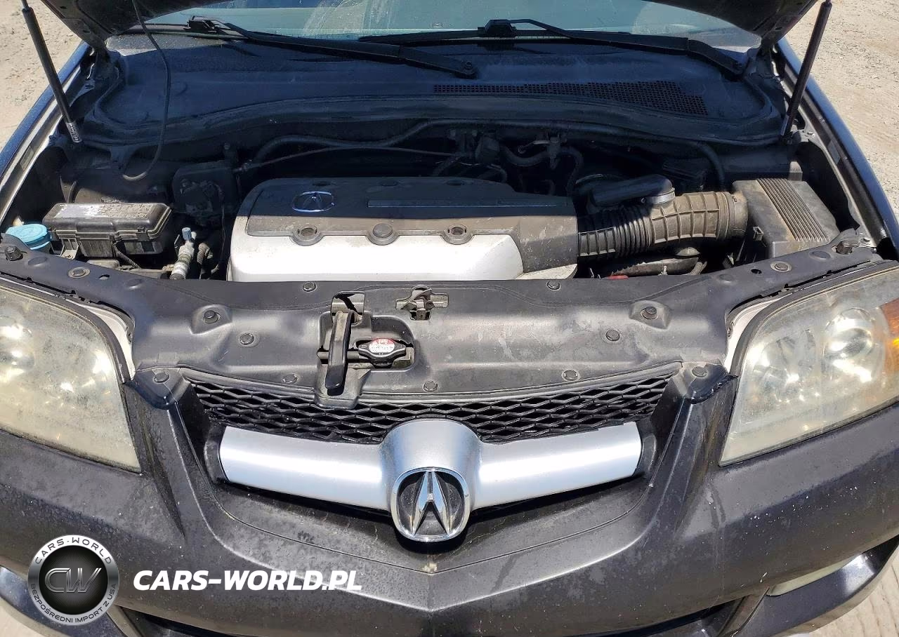 2004 Acura Mdx Touring VIN:2HNYD18904H556143 - 12