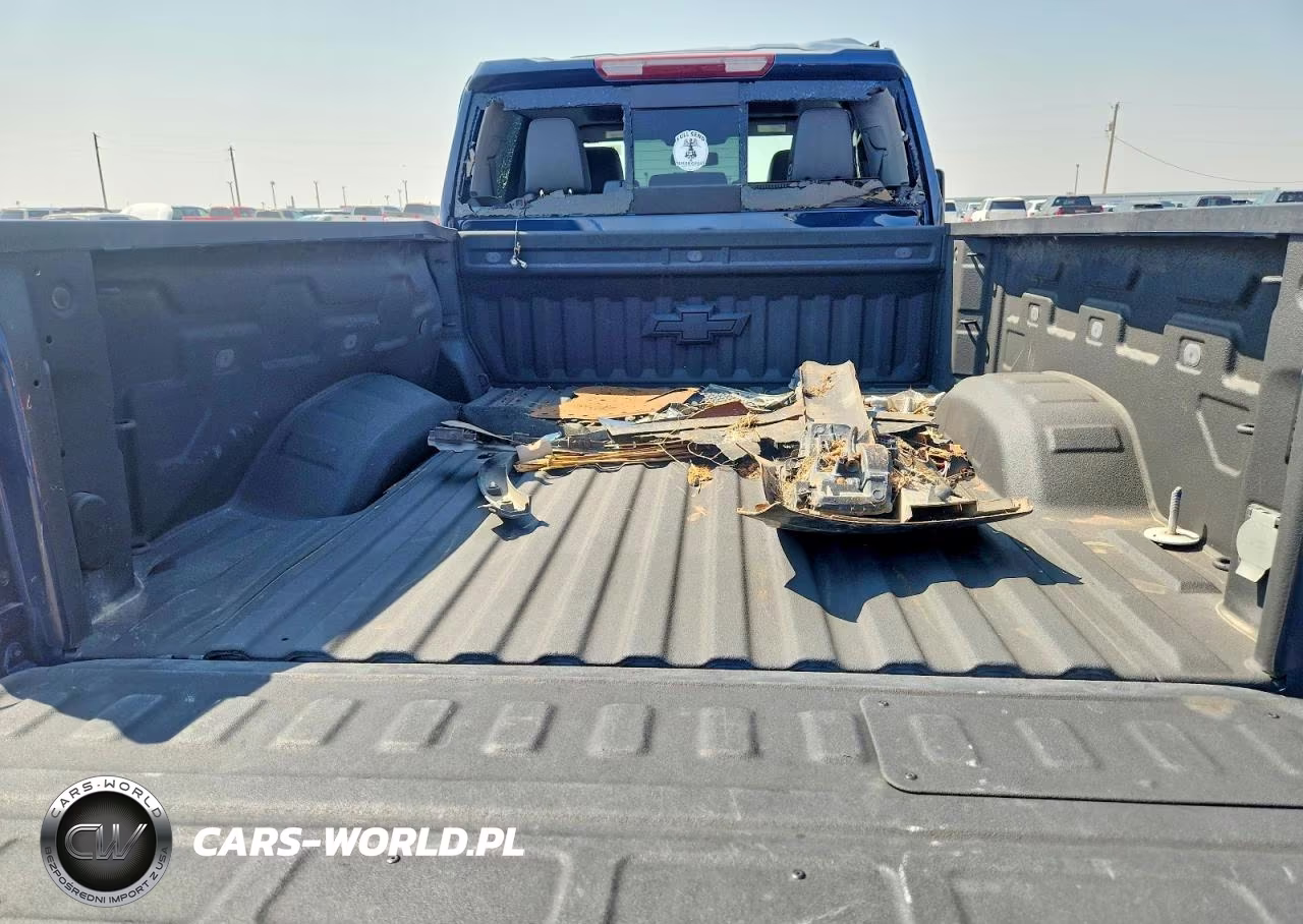 2021 Chevrolet Silverado K2500 Heavy Duty Ltz VIN:1GC4YPEY5MF234638 - 10