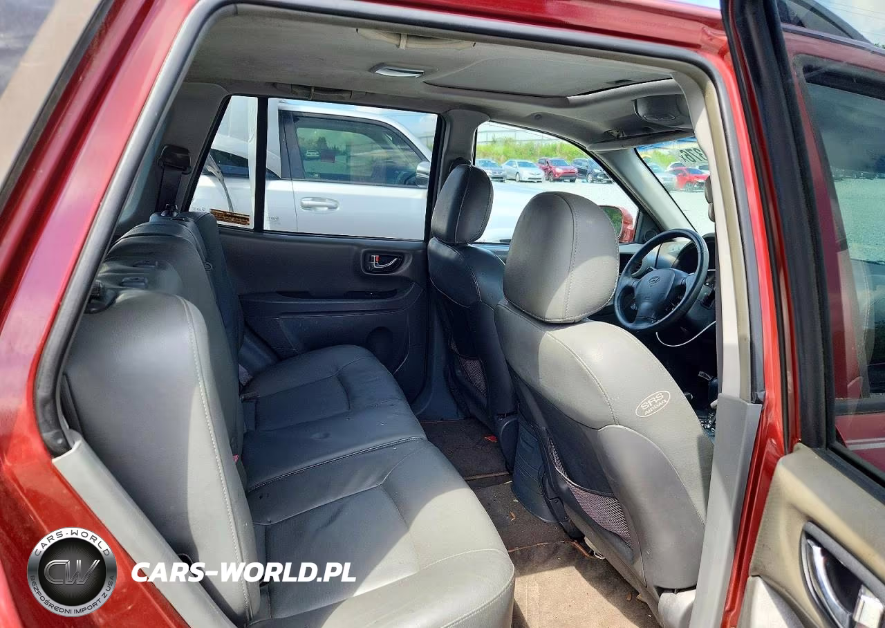 2003 Hyundai Santa Fe Gls VIN:KM8SC13E93U461851 - 10