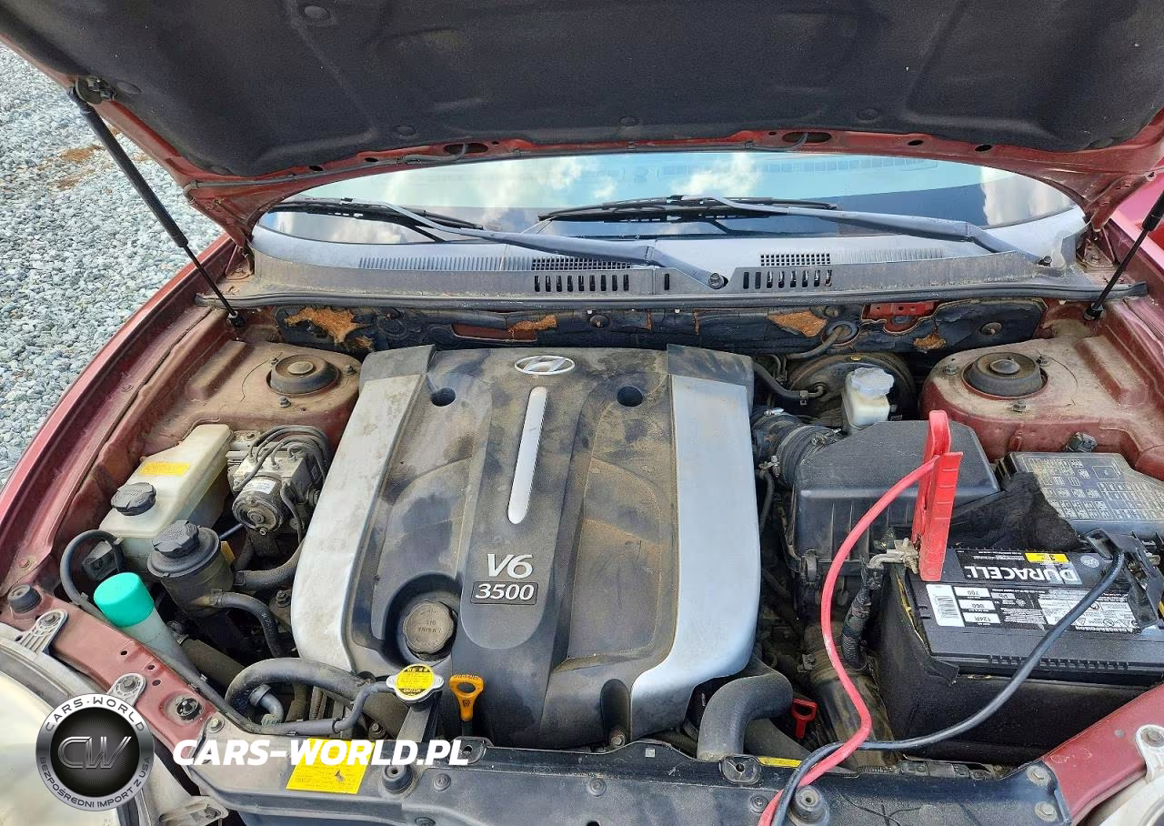 2003 Hyundai Santa Fe Gls VIN:KM8SC13E93U461851 - 11