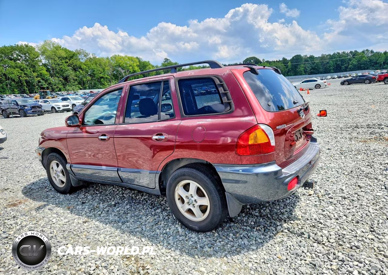 2003 Hyundai Santa Fe Gls VIN:KM8SC13E93U461851 - 2