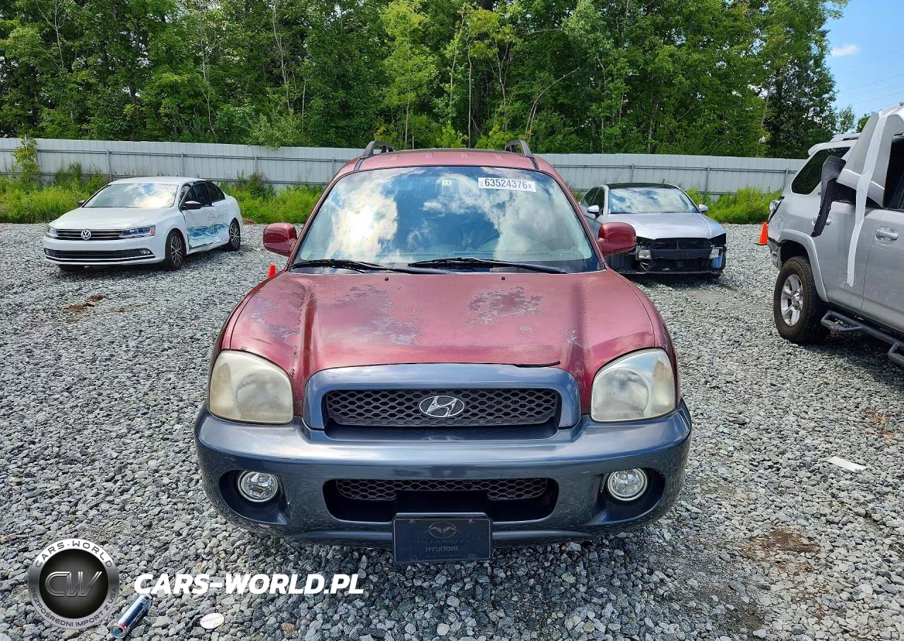 2003 Hyundai Santa Fe Gls VIN:KM8SC13E93U461851 - 5