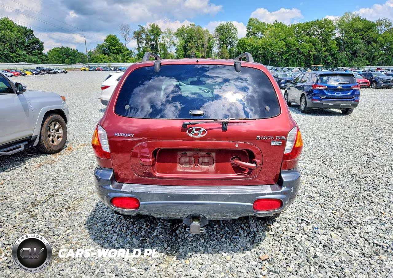 2003 Hyundai Santa Fe Gls VIN:KM8SC13E93U461851 - 6