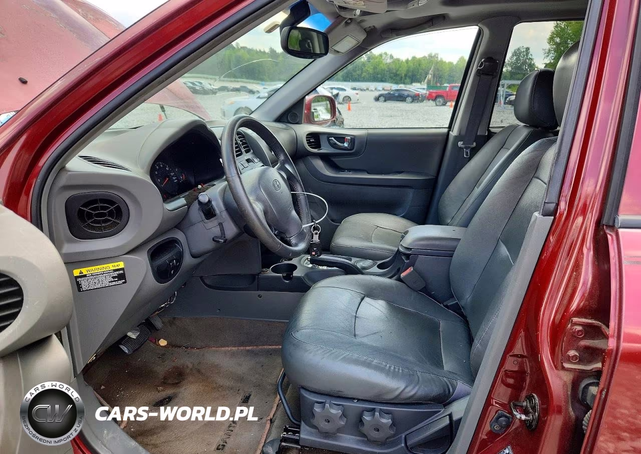 2003 Hyundai Santa Fe Gls VIN:KM8SC13E93U461851 - 7