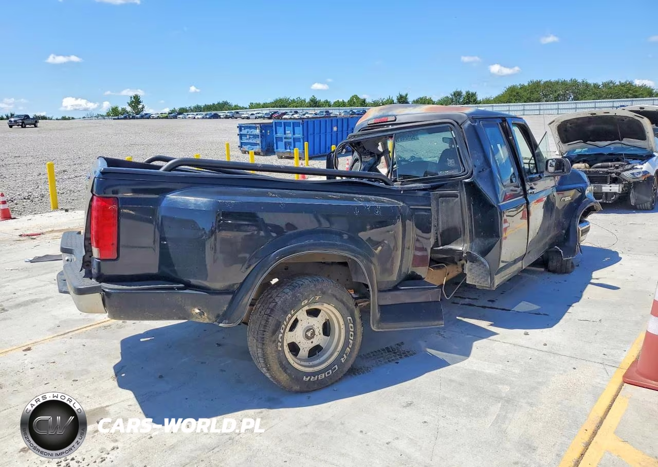 1994 Ford F150 VIN:1FTEX15N7RKB49972 - 3