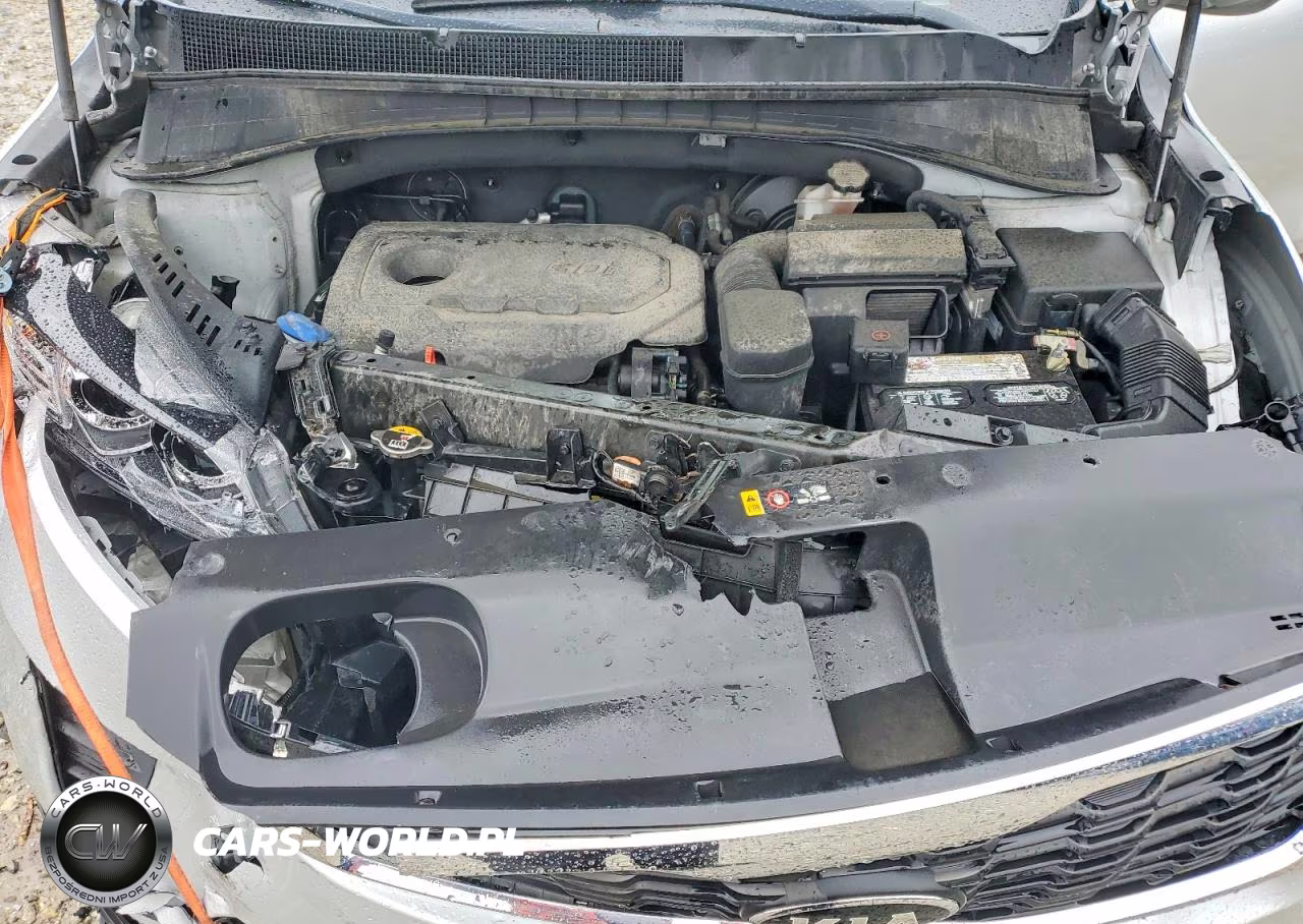 2019 Kia Sorento Lx VIN:5XYPG4A31KG503611 - 12