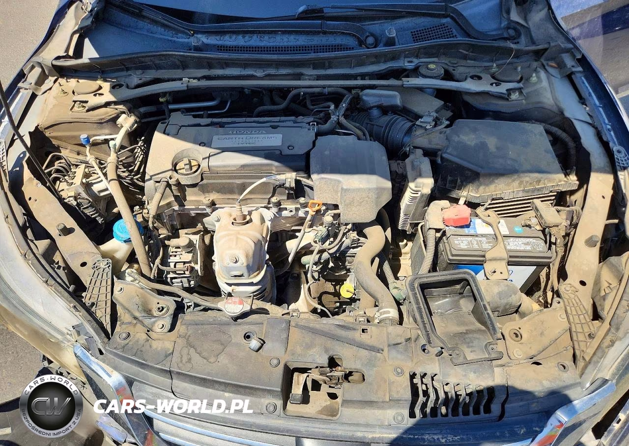2013 Honda Accord Exl VIN:1HGCR2F83DA045544 - 11