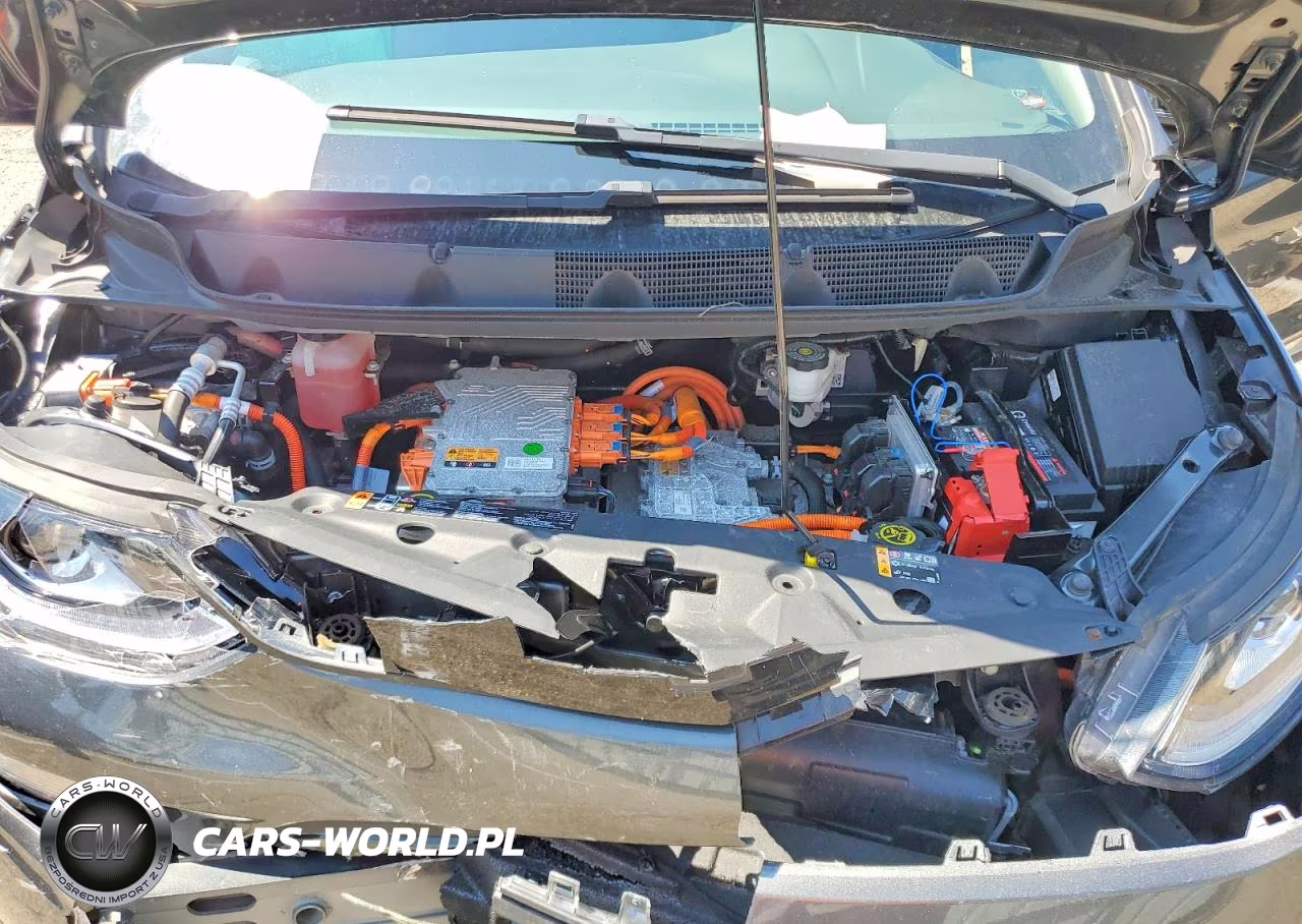 2020 Chevrolet Bolt Ev Lt VIN:1G1FY6S04L4116021 - 11